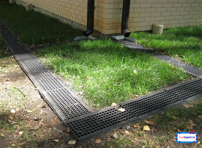 Дренажная система