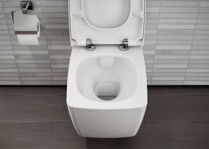 Что лучше - крышки, приставки или насадки на биде: секрет правильного выбора